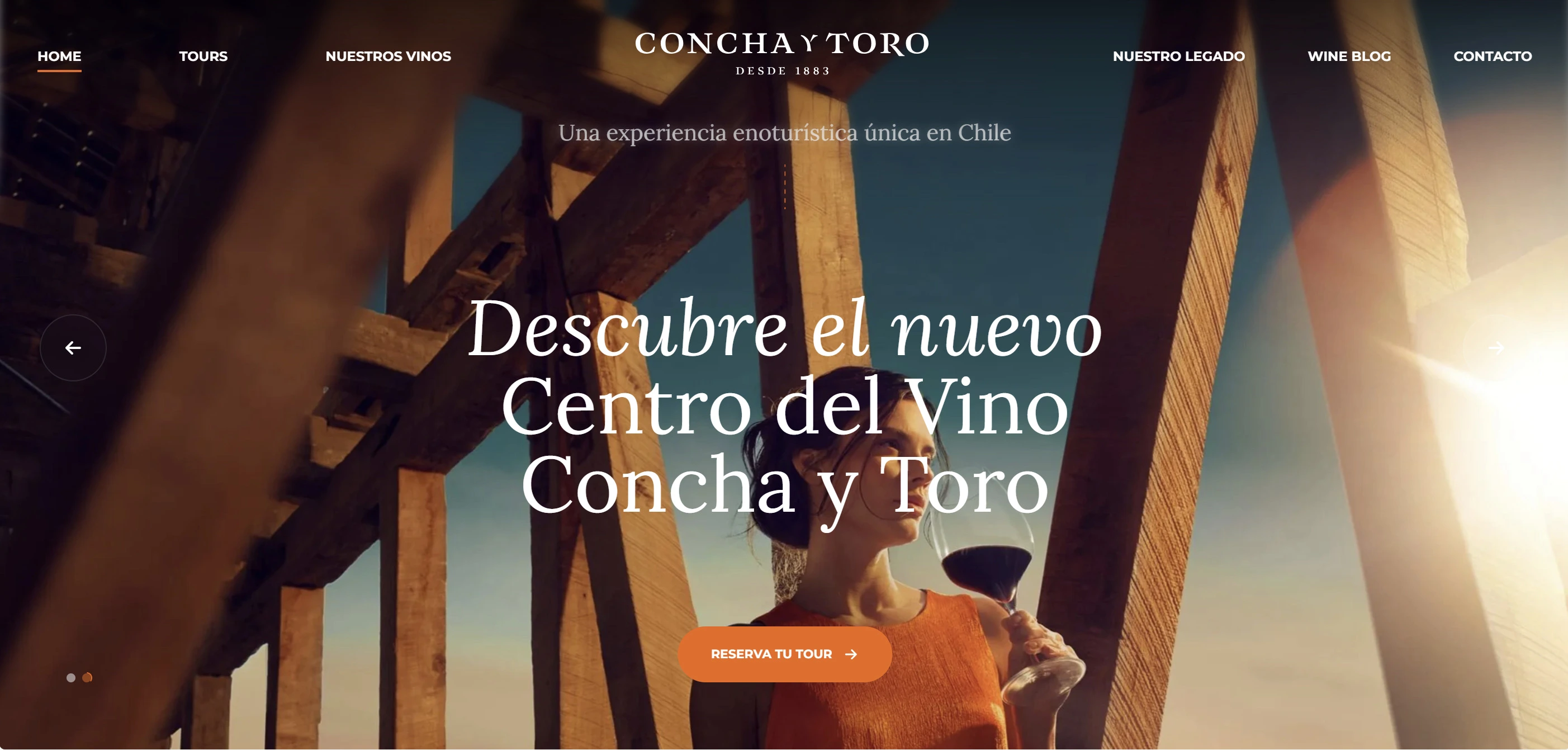 Viña Concha y Toro